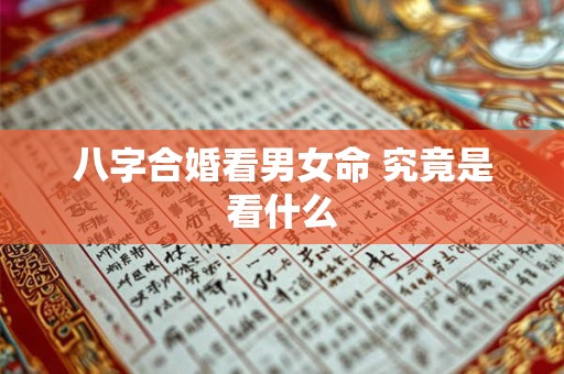 八字合婚看男女命 究竟是看什么