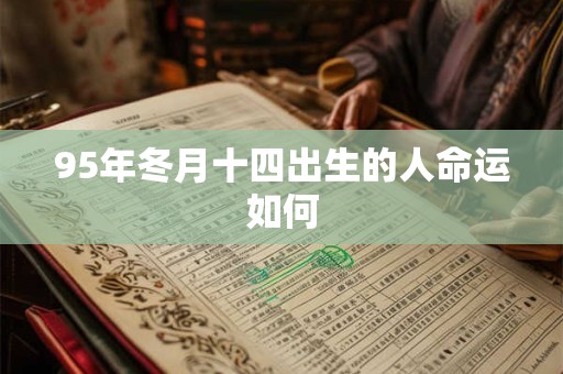 95年冬月十四出生的人命运如何