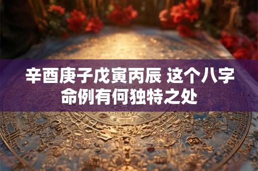 辛酉庚子戊寅丙辰 这个八字命例有何独特之处