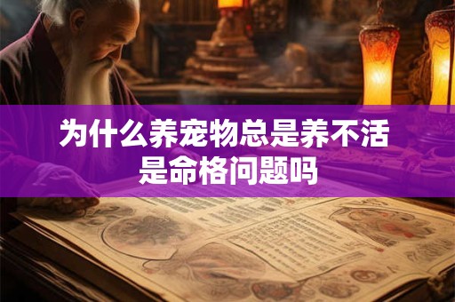 为什么养宠物总是养不活 是命格问题吗