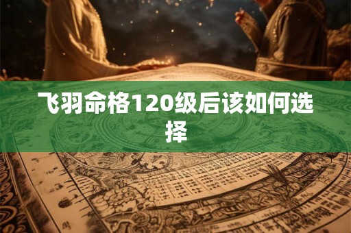 飞羽命格120级后该如何选择