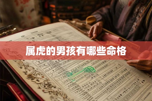 属虎的男孩有哪些命格