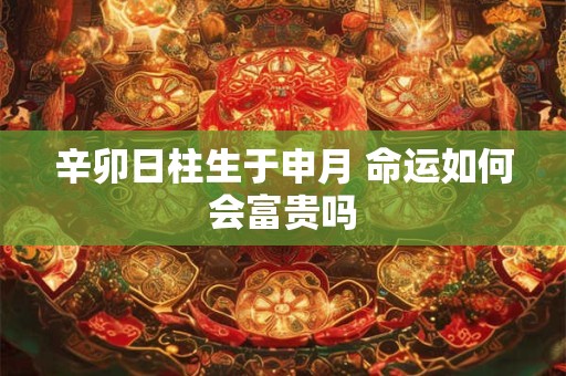 辛卯日柱生于申月 命运如何会富贵吗