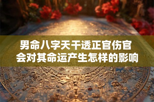 男命八字天干透正官伤官 会对其命运产生怎样的影响