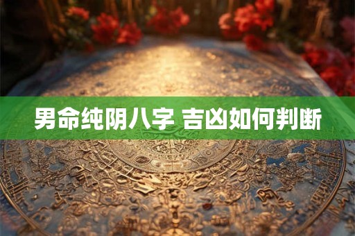 男命纯阴八字 吉凶如何判断