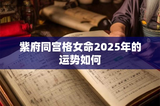 紫府同宫格女命2025年的运势如何