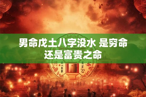 男命戊土八字没水 是穷命还是富贵之命