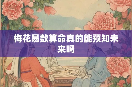 梅花易数算命真的能预知未来吗