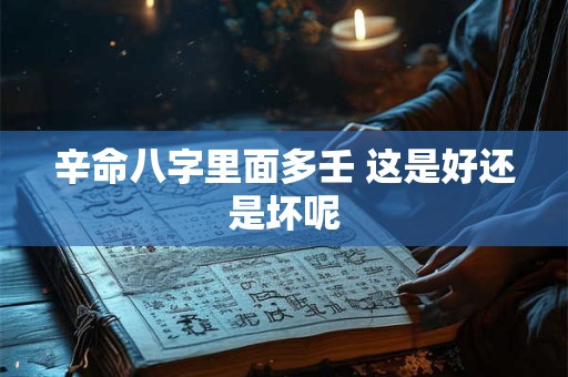 辛命八字里面多壬 这是好还是坏呢