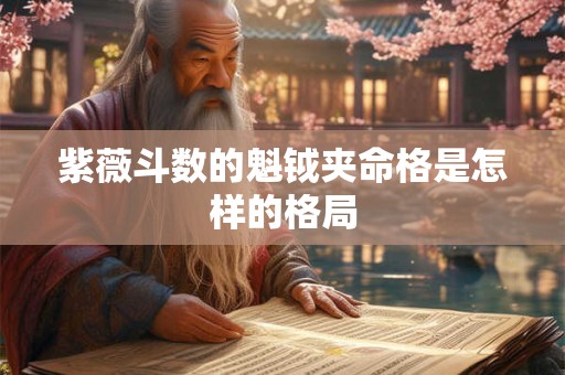 紫薇斗数的魁钺夹命格是怎样的格局