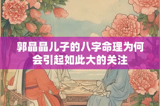 郭晶晶儿子的八字命理为何会引起如此大的关注