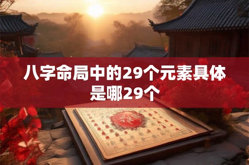 八字命局中的29个元素具体是哪29个