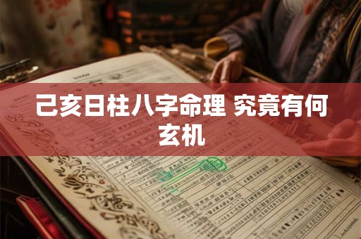 己亥日柱八字命理 究竟有何玄机
