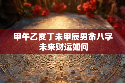 甲午乙亥丁未甲辰男命八字 未来财运如何