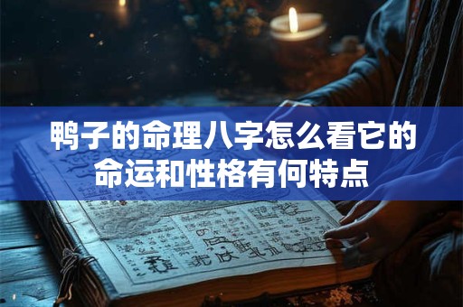 鸭子的命理八字怎么看它的命运和性格有何特点