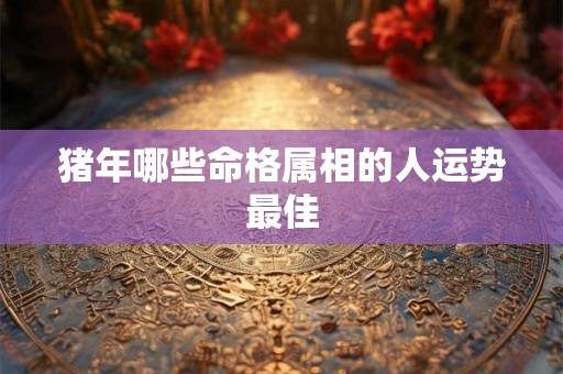 猪年哪些命格属相的人运势最佳