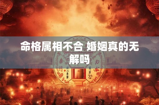 命格属相不合 婚姻真的无解吗