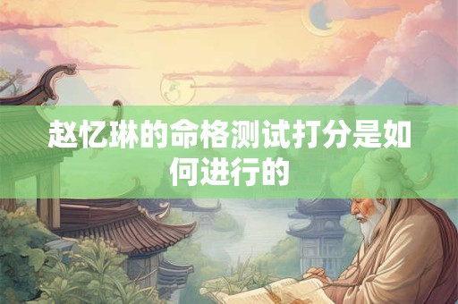 赵忆琳的命格测试打分是如何进行的