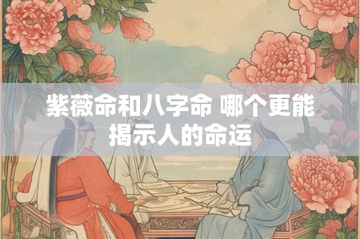 紫薇命和八字命 哪个更能揭示人的命运