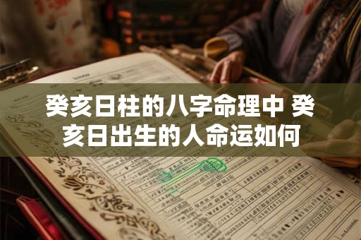 癸亥日柱的八字命理中 癸亥日出生的人命运如何