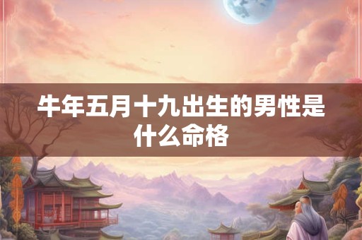 牛年五月十九出生的男性是什么命格