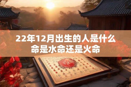 22年12月出生的人是什么命是水命还是火命