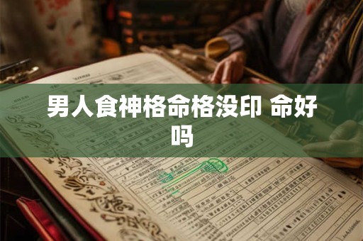 男人食神格命格没印 命好吗