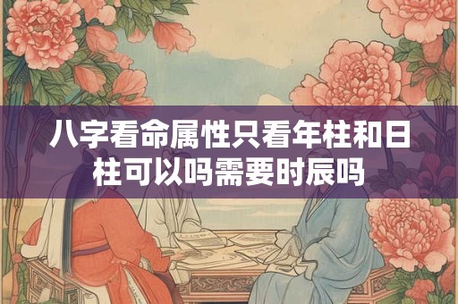 八字看命属性只看年柱和日柱可以吗需要时辰吗