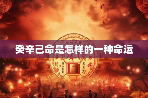 癸辛己命是怎样的一种命运