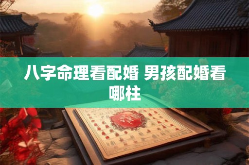 八字命理看配婚 男孩配婚看哪柱