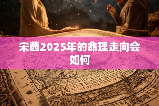 宋茜2025年的命理走向会如何