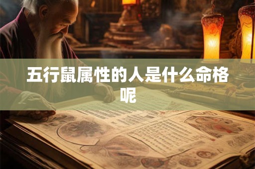 五行鼠属性的人是什么命格呢