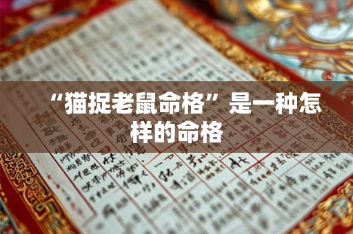“猫捉老鼠命格”是一种怎样的命格