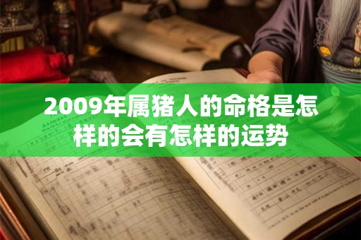 2009年属猪人的命格是怎样的会有怎样的运势