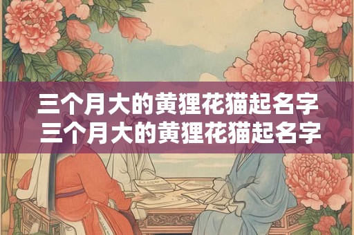 三个月大的黄狸花猫起名字 三个月大的黄狸花猫起名字叫什么