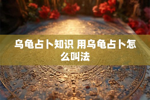 乌龟占卜知识 用乌龟占卜怎么叫法 乌龟占卜知识 用乌龟占卜怎么叫法