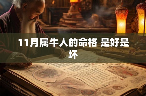 11月属牛人的命格 是好是坏