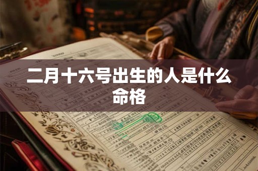 二月十六号出生的人是什么命格