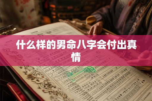 什么样的男命八字会付出真情