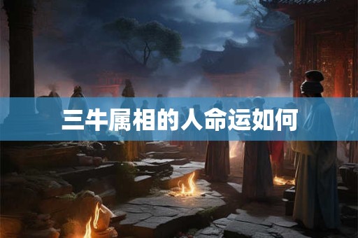 三牛属相的人命运如何