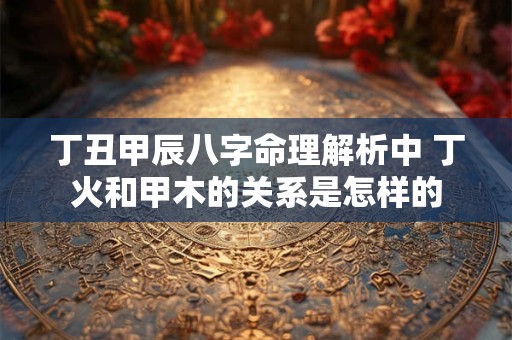 丁丑甲辰八字命理解析中 丁火和甲木的关系是怎样的