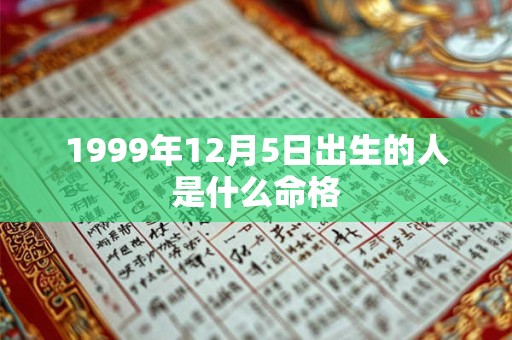 1999年12月5日出生的人是什么命格