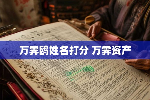 万霁鸥姓名打分 万霁资产