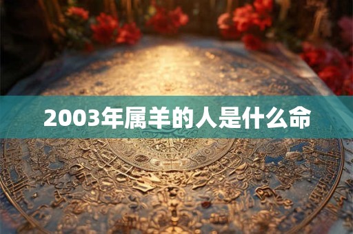 2003年属羊的人是什么命