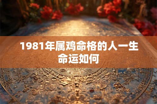 1981年属鸡命格的人一生命运如何