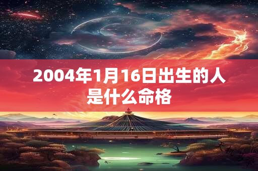 2004年1月16日出生的人是什么命格