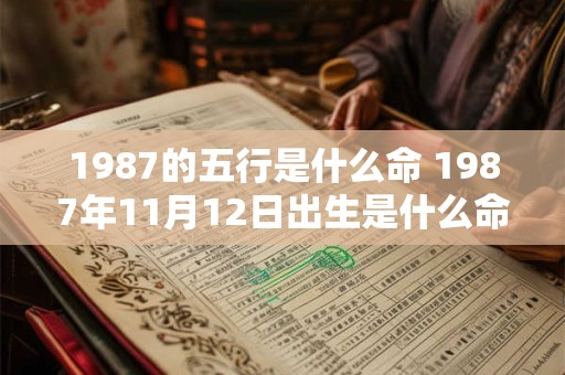 1987的五行是什么命 1987年11月12日出生是什么命