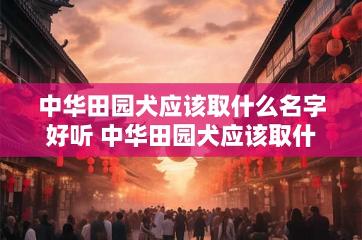 中华田园犬应该取什么名字好听 中华田园犬应该取什么名字好听一点