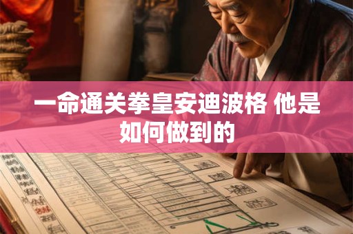 一命通关拳皇安迪波格 他是如何做到的