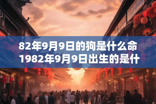 82年9月9日的狗是什么命 1982年9月9日出生的是什么星座